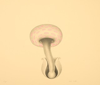 Petr Nikl (1960) - Atlas saltA