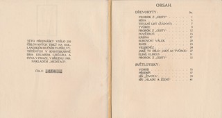 František Bílek (1872-1941) - Stavba budoucího chrámu v nás