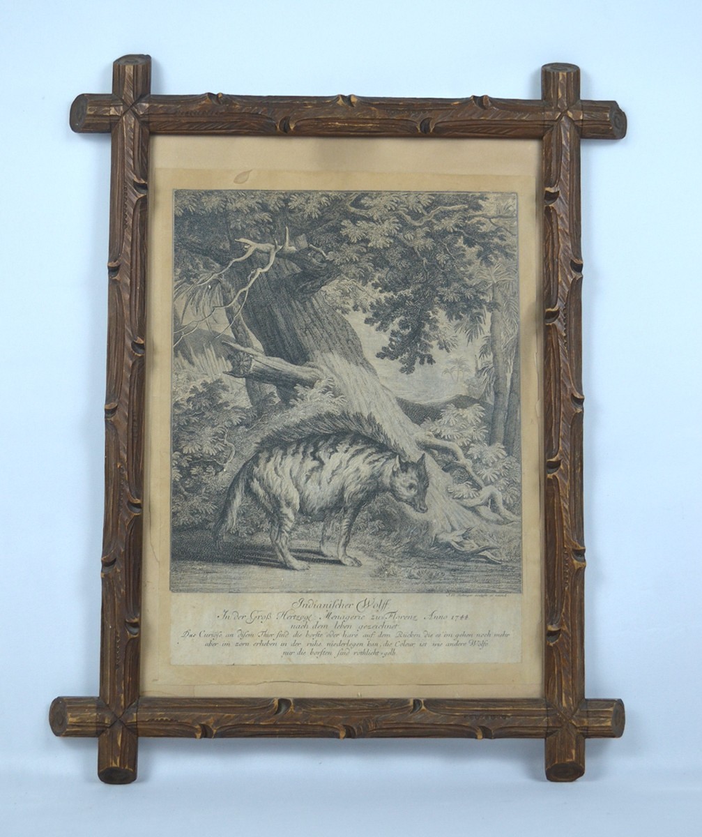 Johann Elias Ridinger (1698 - 1767) - Obraz Vlk Indický