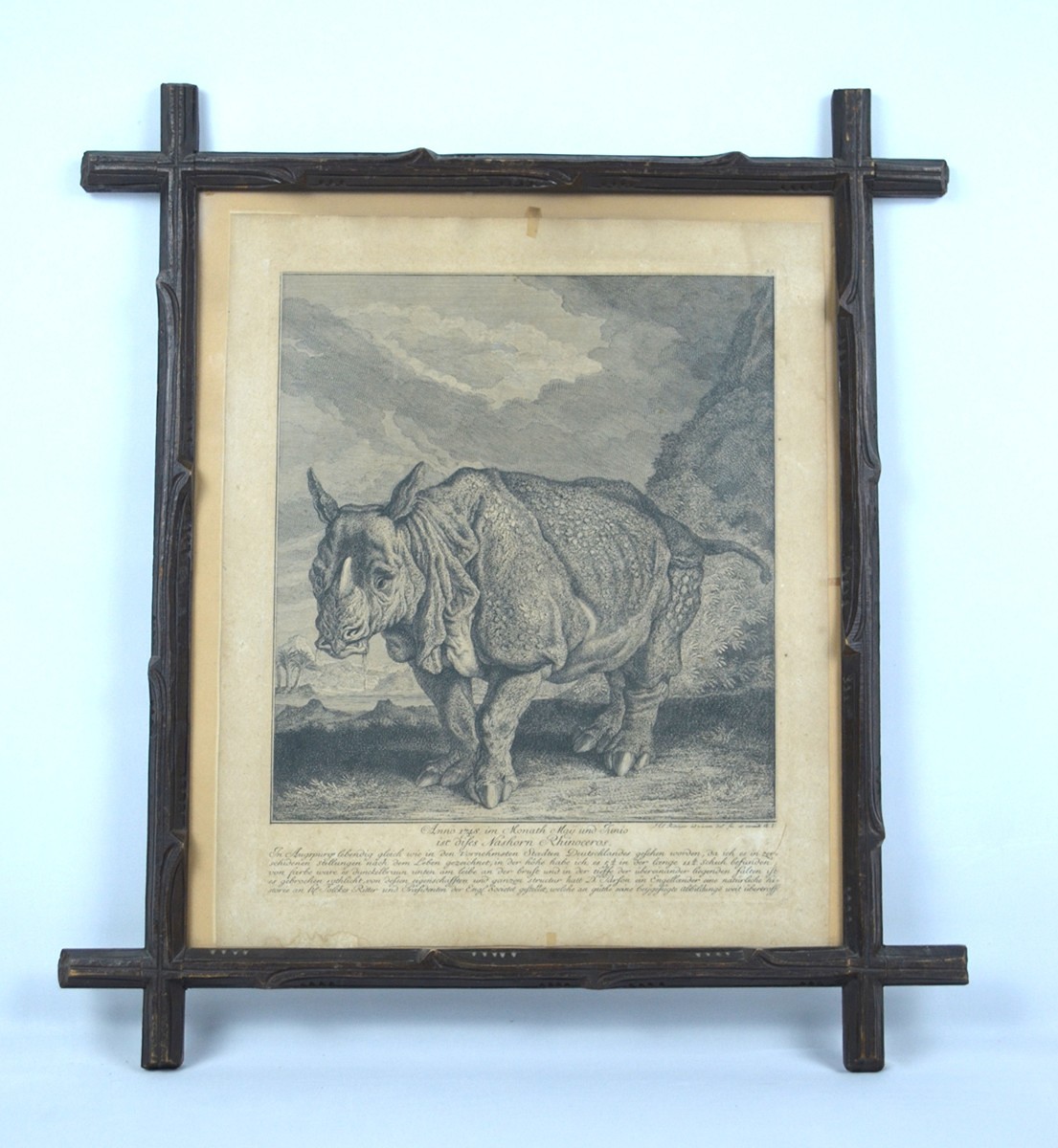 Johann Elias Ridinger (1698 - 1767) - Obraz Nosorožec - Nashorn rhinocerus