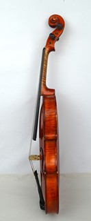 Václav Nosek- Třešť