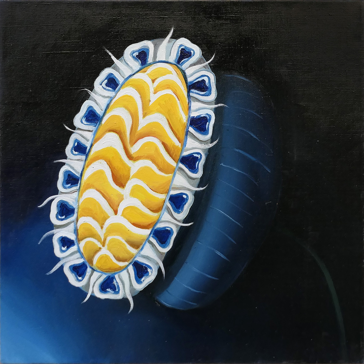 Klára Sedlo (1993-) - Květ List 33 Voynichových rukopisů