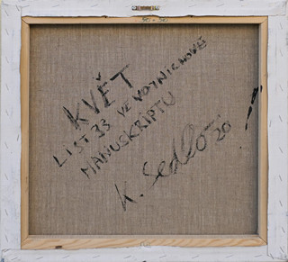 Klára Sedlo (1993-) - Květ List 33 Voynichových rukopisů