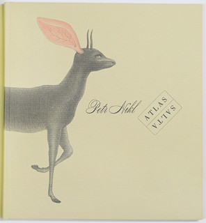 Petr Nikl (1960-) - Atlas saltA