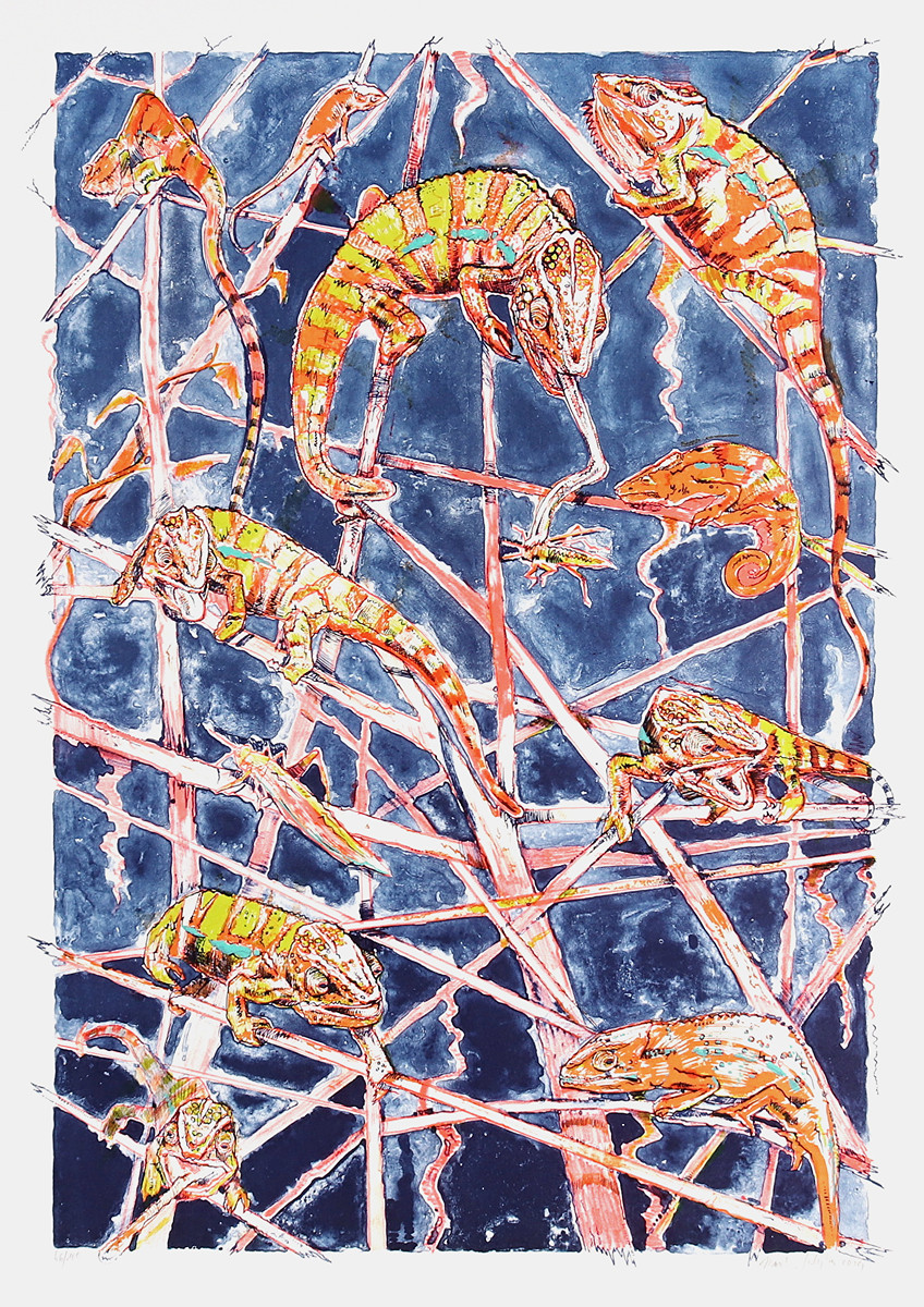 Martin Salajka (1981) - Chameleoni II