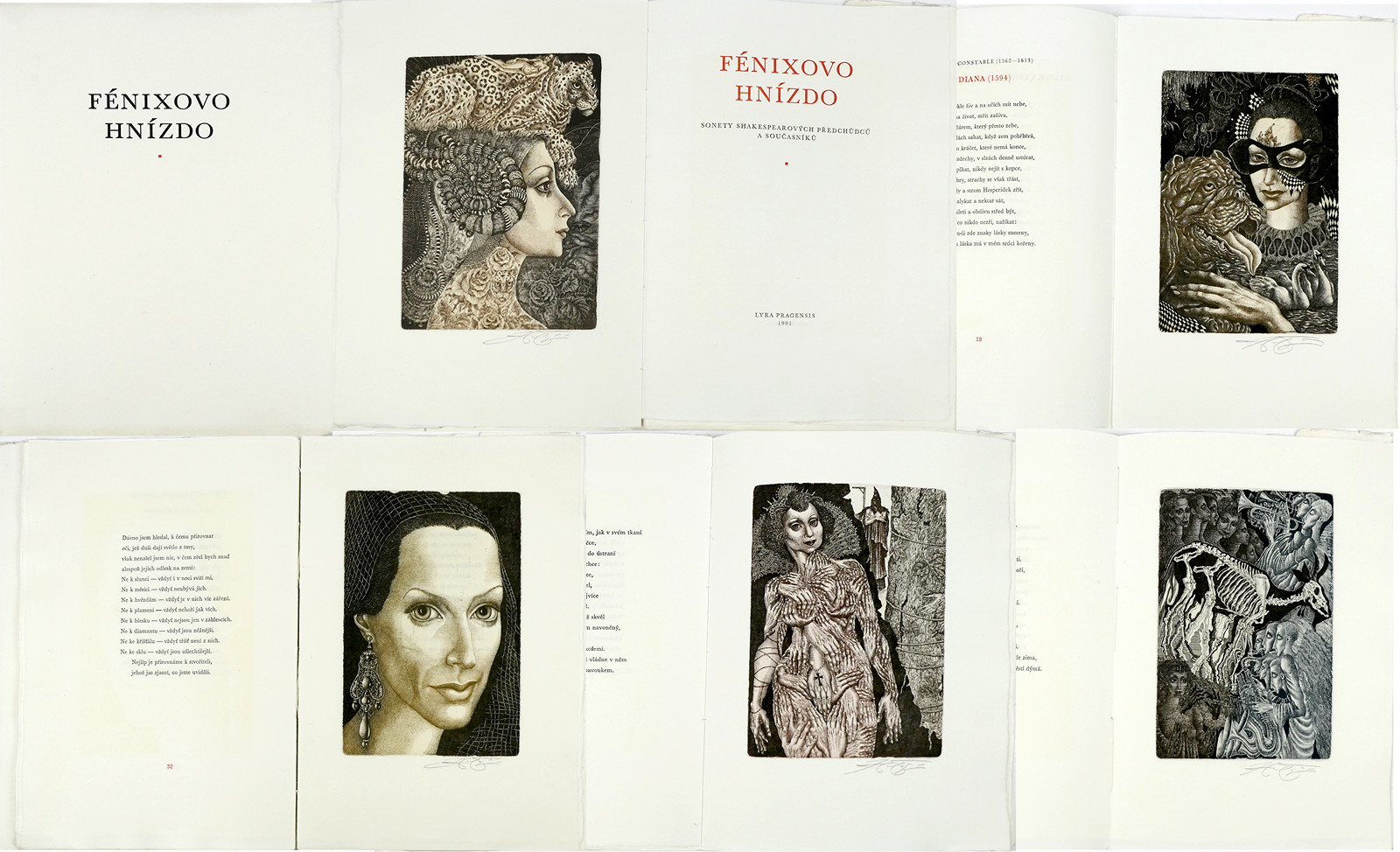 Hana Čápová (1956) - Fénixova hnízdo