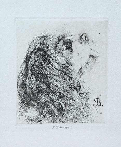 Ludmila Jiřincová (1912 - 1994) - Ex libris B.