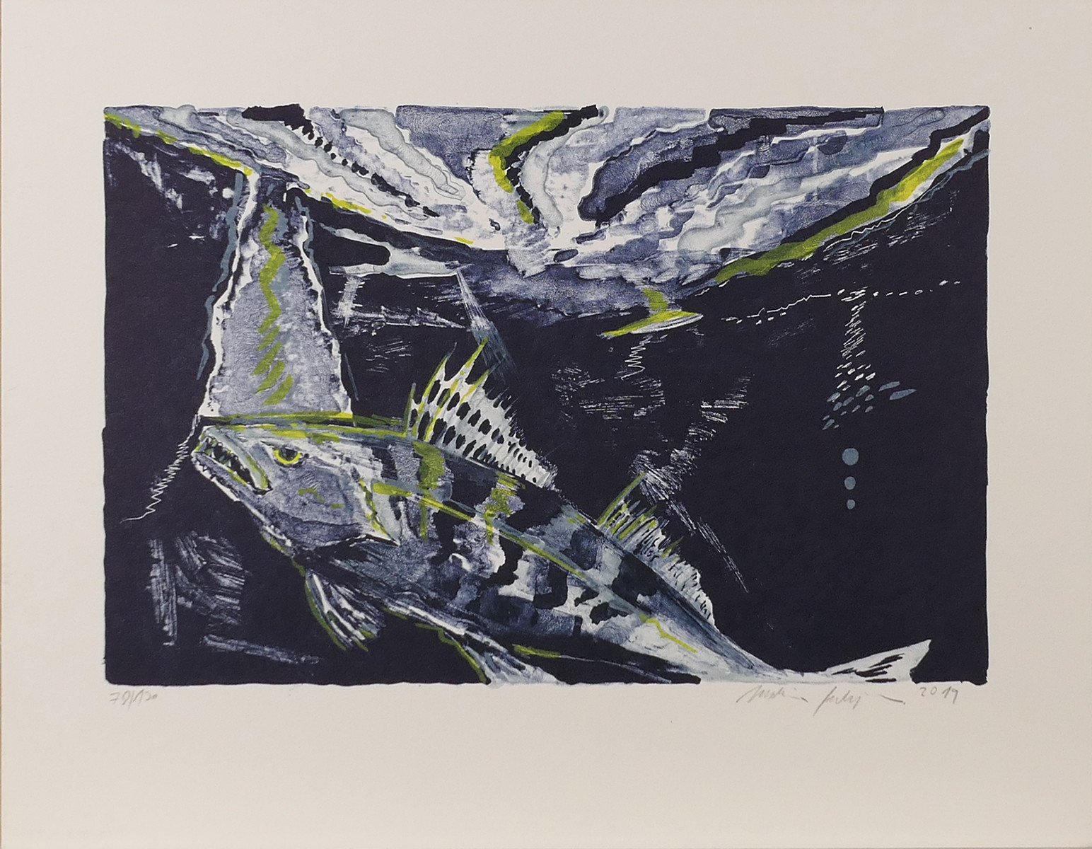 Martin Salajka (1981) - Ryby