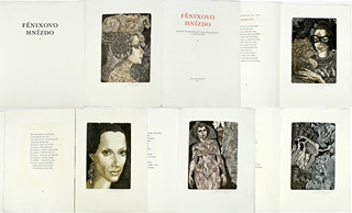 Hana Čápová (1956) - Fénixova hnízdo