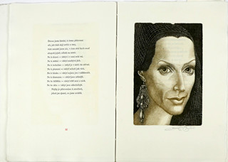 Hana Čápová (1956) - Fénixova hnízdo