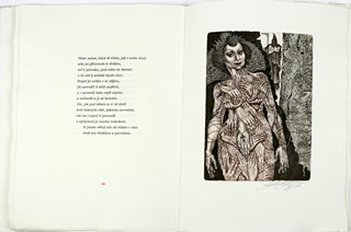 Hana Čápová (1956) - Fénixova hnízdo