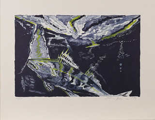 Martin Salajka (1981) - Ryby