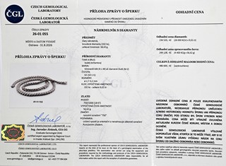 Diamantový náhrdelník 9,02 ct - odhadní cena 486.600 Kč - certifikováno