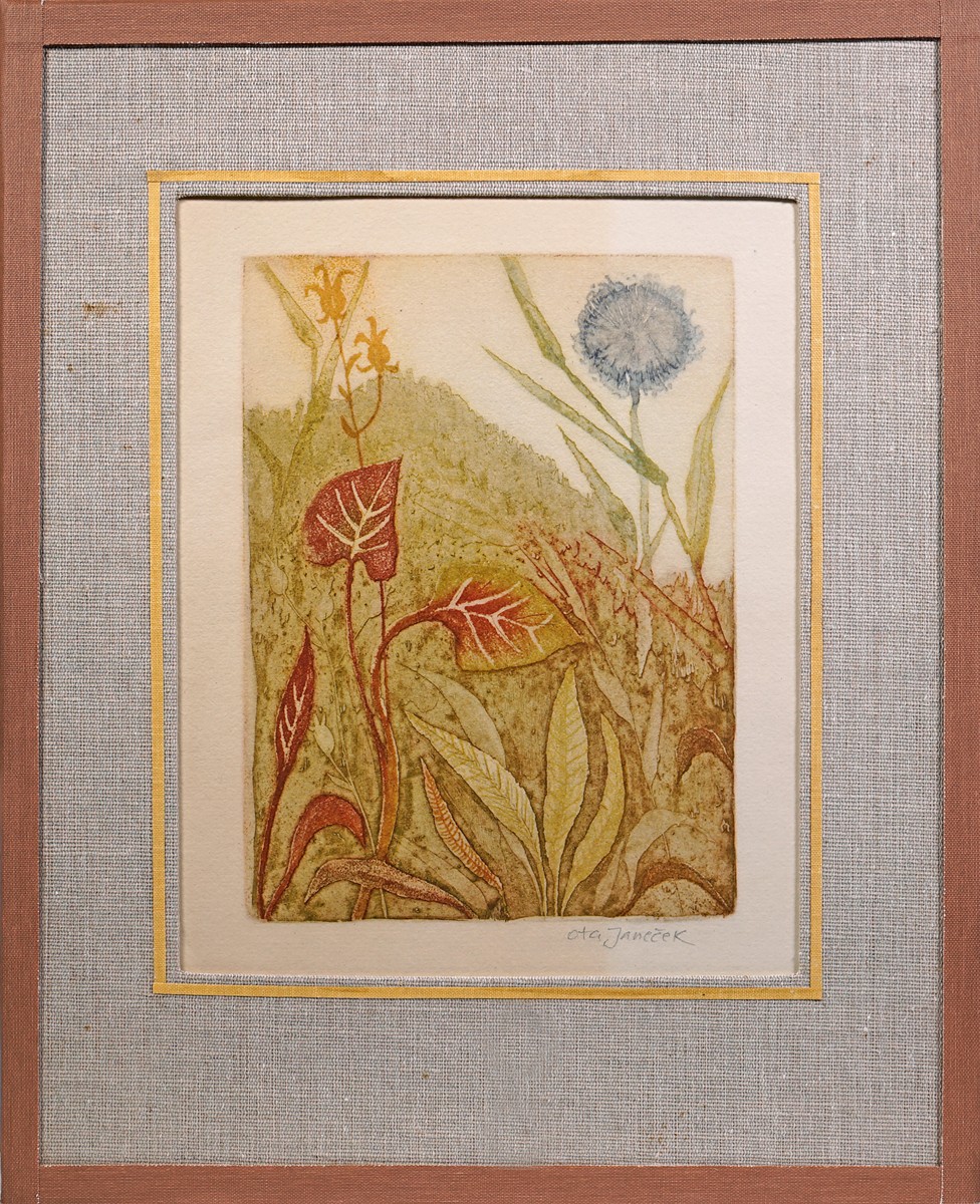 Ota Janeček (1919 - 1996) - Trávy