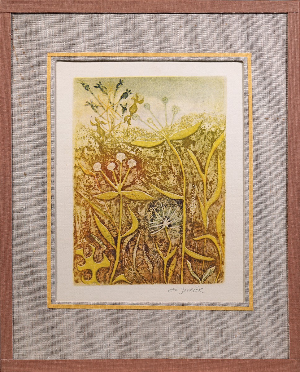 Ota Janeček (1919 - 1996) - Trávy