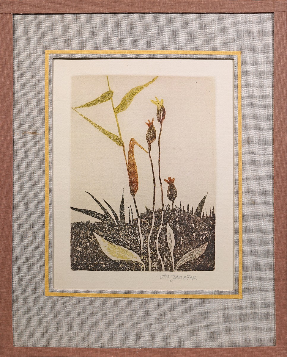 Ota Janeček (1919 - 1996) - Trávy