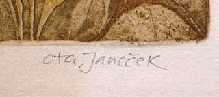 Ota Janeček (1919 - 1996) - Trávy