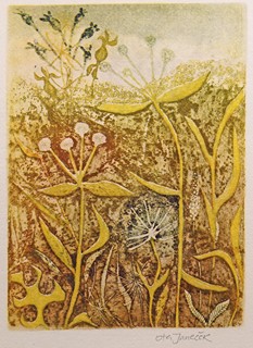 Ota Janeček (1919 - 1996) - Trávy