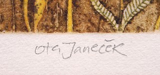 Ota Janeček (1919 - 1996) - Trávy