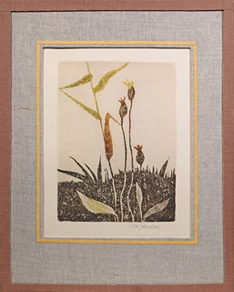 Ota Janeček (1919 - 1996) - Trávy