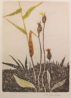 Ota Janeček (1919 - 1996) - Trávy