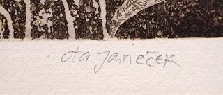 Ota Janeček (1919 - 1996) - Trávy