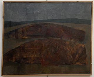 Danuše Jandová - Zorané pole