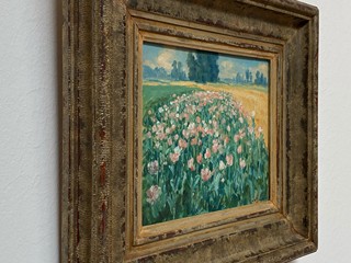František Tavík Šimon (1877 - 1942) - Rozkvetlé máky