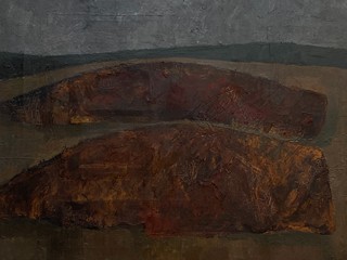 Danuše Jandová - Zorané pole