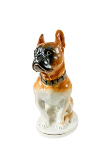Boxer