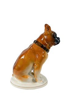 Boxer