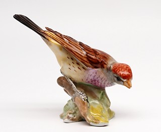 Dresden Porcelain - Ptáček