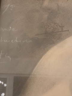 Monumentální mužský akt Akademie z konce 19. století, měří 156 cm, z Institutu Van Der Kelen v Bruselu