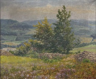 Korber Adolf - Stromy