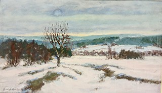 Balíček Karel - Jarní tání
