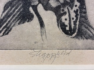 Škarohlíd Jaroslav - Orchidej