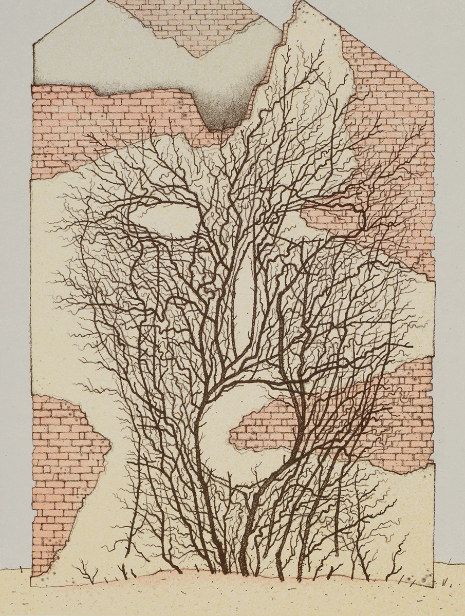 Pavel Sivko (1948) - VYKŘIČENÝ DŮM