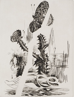 Hana Urbanová (1934) - MOTÝLI