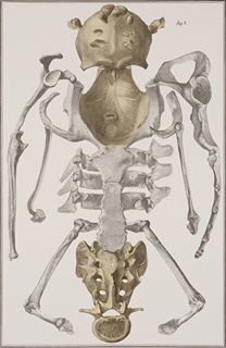 Item 57