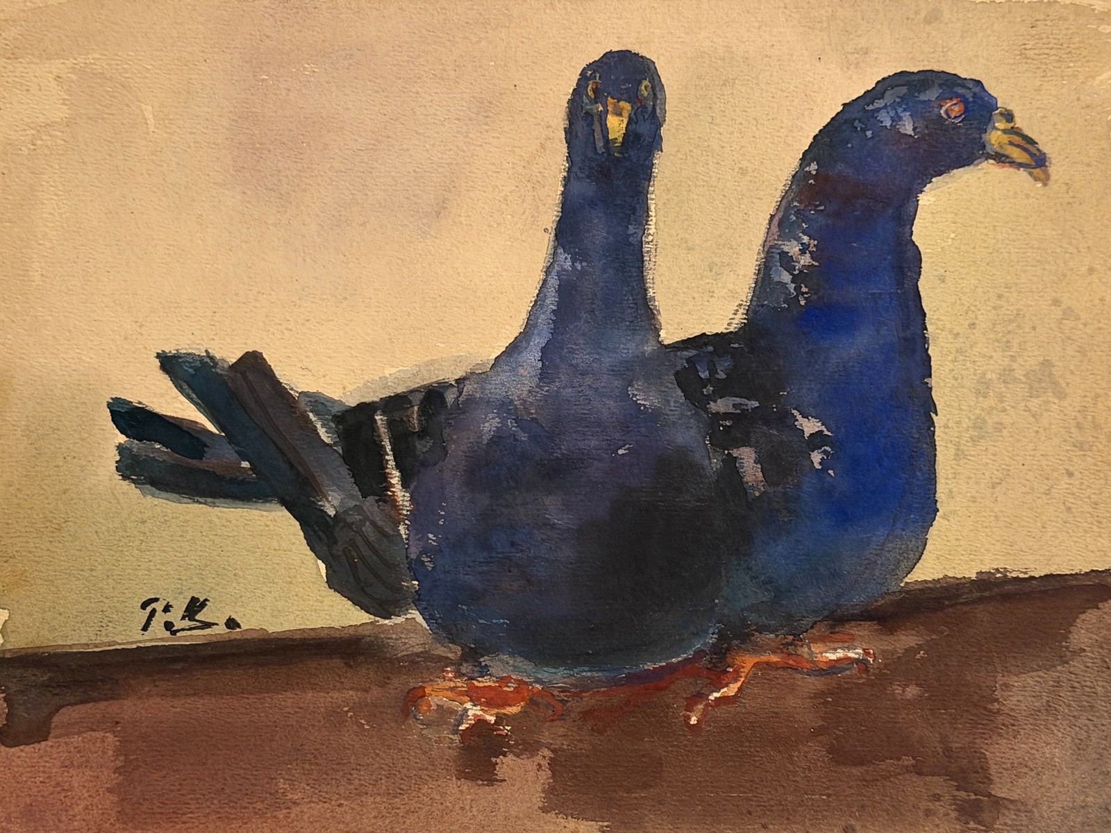 Kotík Pravoslav (1889–1970) - Holuby
