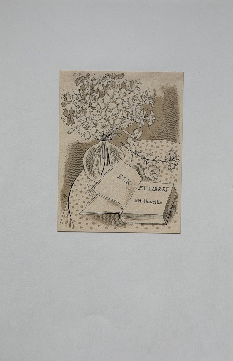 Bouda Cyril (1901–1984) - Kniha a kytice