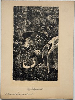 Kuhnert Wilhelm (1865–1926) - V horském pralese (Im Gebirgsurwald)