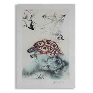 Dalí Salvador (1904–1989) - Želva