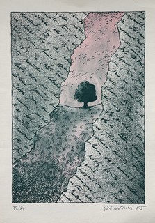 Votruba Jiří (1946–?) - Dopis od básníka