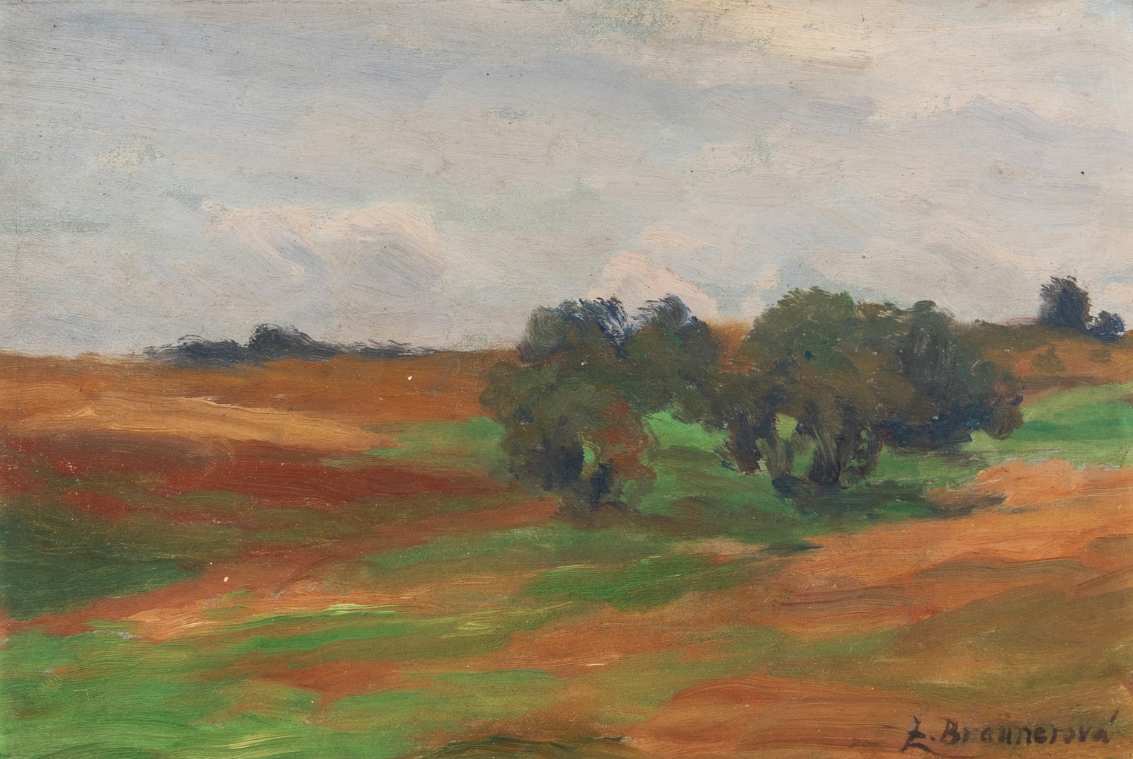 Braunerová Zdenka (1858-1934)