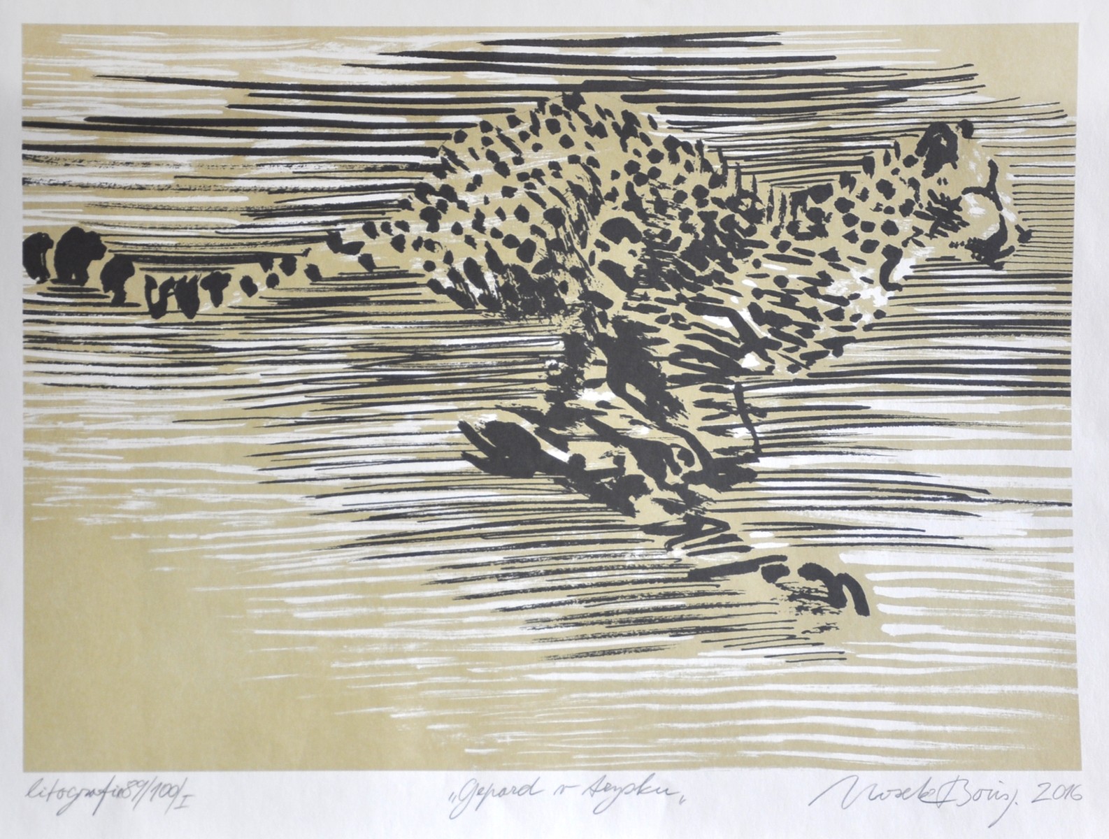Boris Nosek
