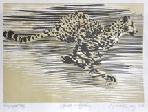 Boris Nosek