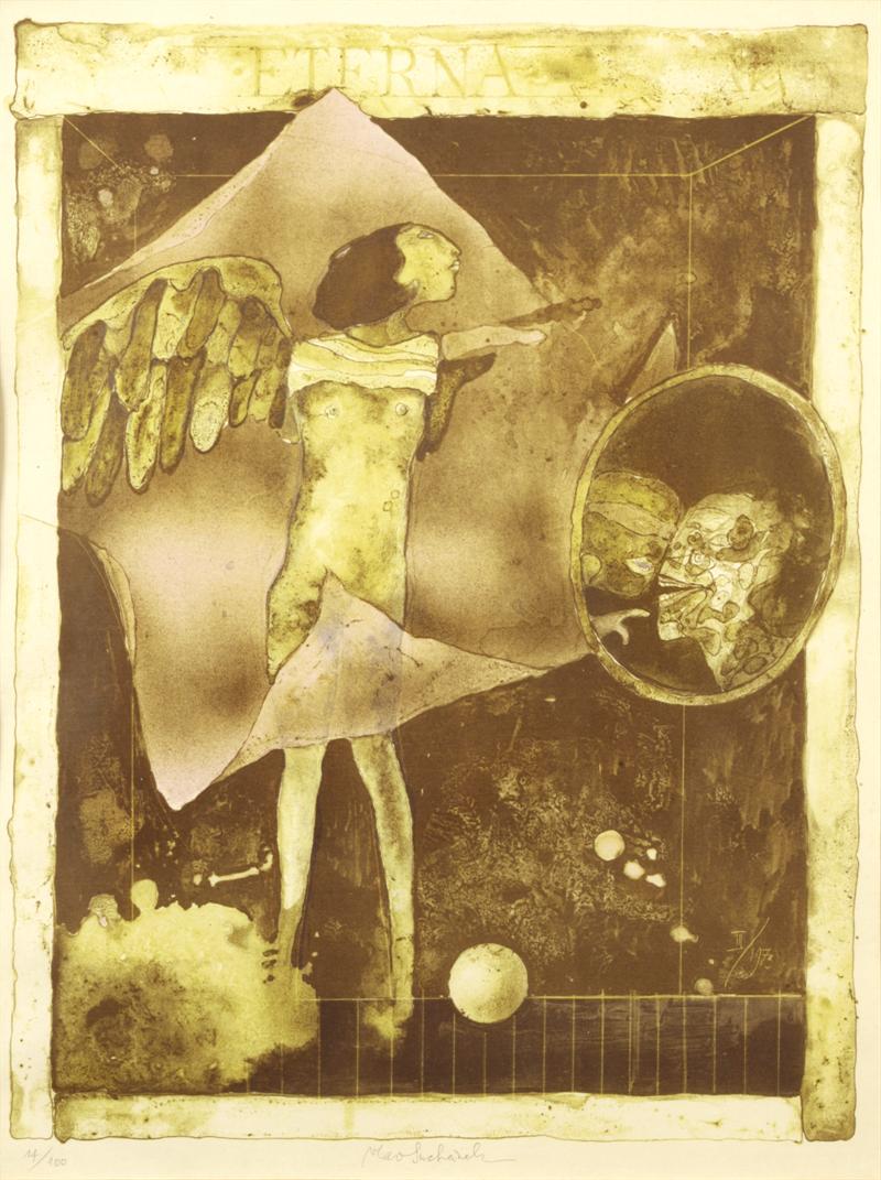 Anděla - Suchánek Vladimír