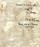 Touha po řádu věcí - Kanyza Jan