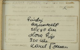 TOMAN Karel (1877 - 1946)